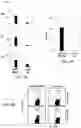 Fig. 06 - Agents that engage antigen-presenting cells through dendritic cell asialoglycoprotein receptor (DC-ASGPR)