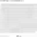 Fig. 11 - COMBINATION VACCINE