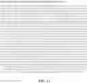 Fig. 14 - COMBINATION VACCINE