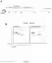 Fig. 11 - METHODS AND COMPOSITIONS FOR TREATING CANCER AND INFECTIOUS DISEASES