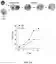 Fig. 08 - Engineered chimeric fusion protein compositions and methods of use thereof