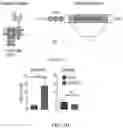Fig. 22 - Engineered chimeric fusion protein compositions and methods of use thereof