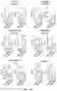 Fig. 30 - Engineered chimeric fusion protein compositions and methods of use thereof