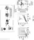 Fig. 34 - Engineered chimeric fusion protein compositions and methods of use thereof