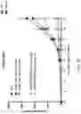 Fig. 70 - Engineered chimeric fusion protein compositions and methods of use thereof