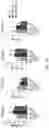 Fig. 72 - Engineered chimeric fusion protein compositions and methods of use thereof