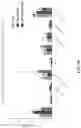 Fig. 77 - Engineered chimeric fusion protein compositions and methods of use thereof