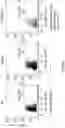 Fig. 80 - Engineered chimeric fusion protein compositions and methods of use thereof