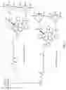 Fig. 02 - PHOTOIMMUNOTHERAPY AND PHARMACEUTICAL AGENT USED THEREFOR
