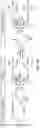 Fig. 05 - PHOTOIMMUNOTHERAPY AND PHARMACEUTICAL AGENT USED THEREFOR