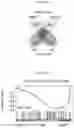 Fig. 07 - MODULATING PERMEABILITY OF THE BLOOD CEREBROSPINAL FLUID BARRIER
