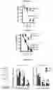 Fig. 11 - MODULATING PERMEABILITY OF THE BLOOD CEREBROSPINAL FLUID BARRIER
