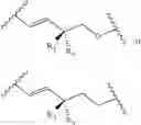 Fig. 07 - COMPOSITIONS AND METHODS FOR TOPICAL DELIVERY OF PROSTAGLANDINS TO SUBCUTANEOUS FAT