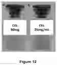 Fig. 13 - Non-ionic PVP-PLA block copolymers and liquid pharmaceutical compositions derived therefrom