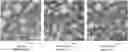 Fig. 01 - HUMAN PAPILLOMAVIRUS NANOPARTICLE FORMULATIONS