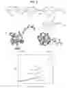 Fig. 06 - COMPOSITIONS AND METHODS FOR RADIOTHERAPY USING CHELATED RADIOTHERAPEUTIC AGENTS AND NON-TARGET TISSUE BLOCKADE