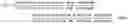 Fig. 08 - Germicidal lighting apparatus with visible glare