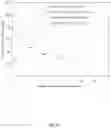 Fig. 07 - DIFFUSION-HARDENED MEDICAL IMPLANT