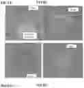 Fig. 09 - DIFFUSION-HARDENED MEDICAL IMPLANT