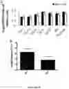 Fig. 07 - COMPOSITIONS AND METHODS FOR GRAFTS MODIFIED WITH A NON-THROMBOGENIC AND PRO-MIGRATORY CELL-DERIVED EXTRACELLULAR MATRIX