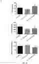 Fig. 08 - COMPOSITIONS AND METHODS FOR GRAFTS MODIFIED WITH A NON-THROMBOGENIC AND PRO-MIGRATORY CELL-DERIVED EXTRACELLULAR MATRIX