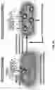 Fig. 43 - Demineralized bone paper