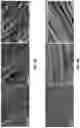 Fig. 46 - Demineralized bone paper
