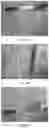 Fig. 04 - Improved Decellularization of Isolated Organs