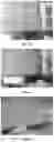 Fig. 05 - Improved Decellularization of Isolated Organs