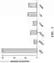 Fig. 02 - IMPROVED SURVIVAL OF HUMAN CELLS DIFFERENTIATED IN VITRO BY PRPF31 GENE EXPRESSION KNOCKDOWN