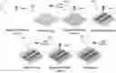 Fig. 01 - Additive manufacturing of cell-laden functional hydrogel and live cell constructs