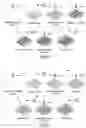Fig. 02 - Additive manufacturing of cell-laden functional hydrogel and live cell constructs