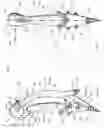 Fig. 04 - Ergonomic steering handle