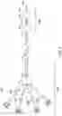 Fig. 02 - CAVITATION CATHETER