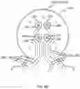 Fig. 07 - Conductive circuit