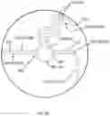 Fig. 08 - Conductive circuit
