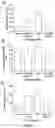 Fig. 09 - Peripheral neuromodulation to treat bladder and bowel dysfunction