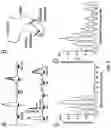Fig. 10 - Peripheral neuromodulation to treat bladder and bowel dysfunction