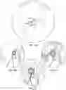Fig. 03 - Apparatuses and methods for transdermal electrical stimulation of nerves to modify or induce a cognitive state