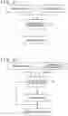 Fig. 12 - Image transmission/reception system, image transmission apparatus, image reception apparatus, image transmission/reception method, and program