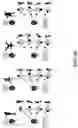 Fig. 08 - CHOREOGRAPHED AVATAR MOVEMENT AND CONTROL