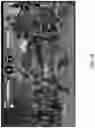 Fig. 22 - CHOREOGRAPHED AVATAR MOVEMENT AND CONTROL