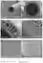 Fig. 06 - Membrane for blood purification