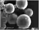 Fig. 01 - POLY(AMIDE-ESTER) MICROCAPSULES