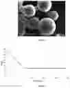 Fig. 02 - POLY(AMIDE-ESTER) MICROCAPSULES