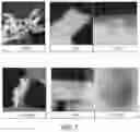 Fig. 07 - Hydrothermally and thermally stable catalytic materials based on theta-alumina