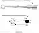 Fig. 41 - System and method for target material retrieval from microwells