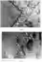 Fig. 02 - Method of manufacturing surface nanotube array on selective laser melted stainless steel