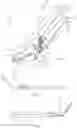 Fig. 02 - Plastic clip popper pliers and method of use