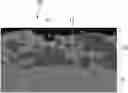 Fig. 01 - Plated steel